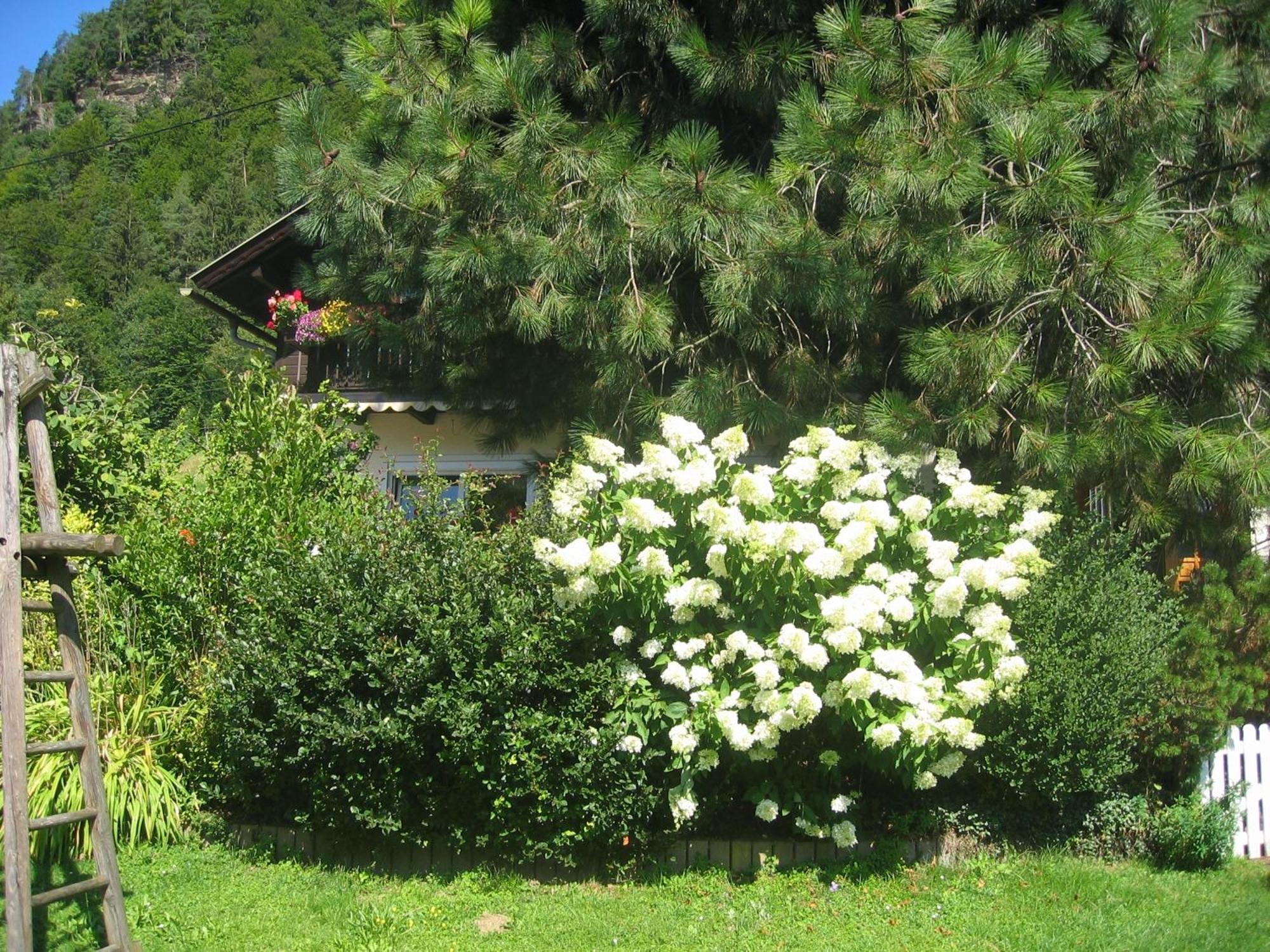 Pension Wolf Steindorf am Ossiacher See Exteriör bild